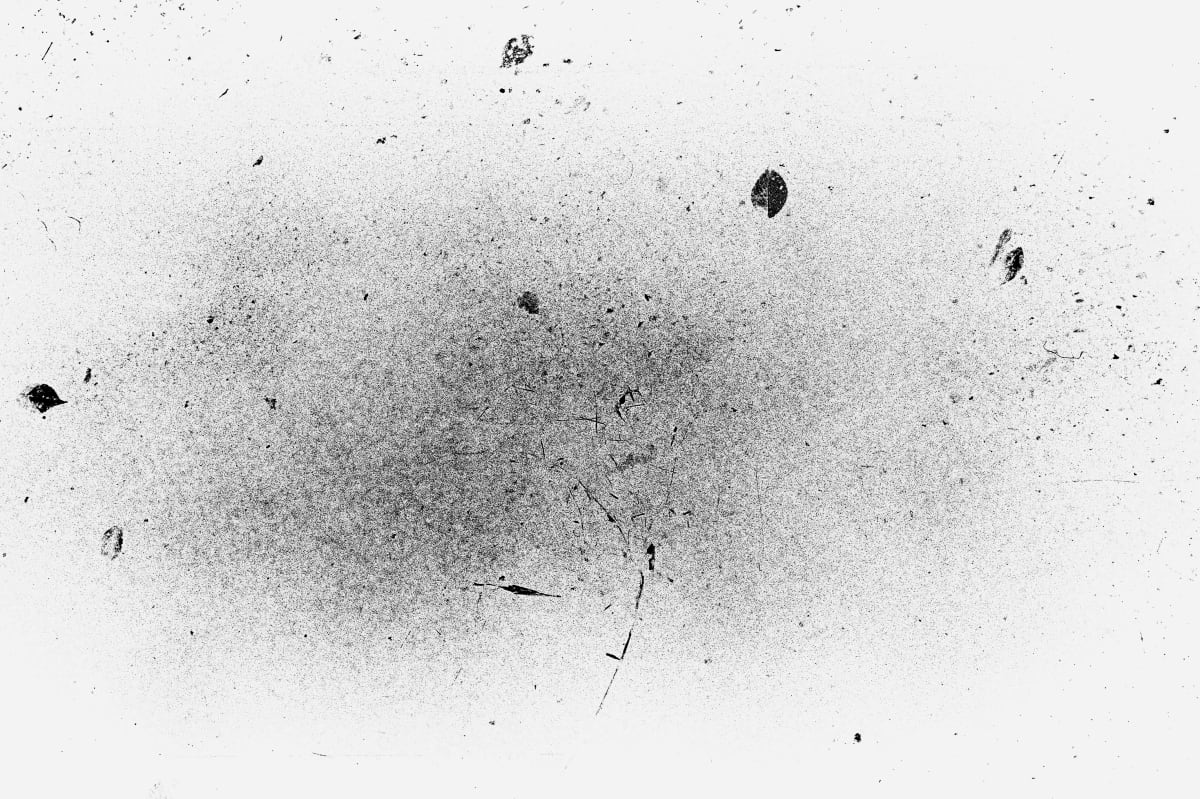 Minute traces  Image: Minute traces