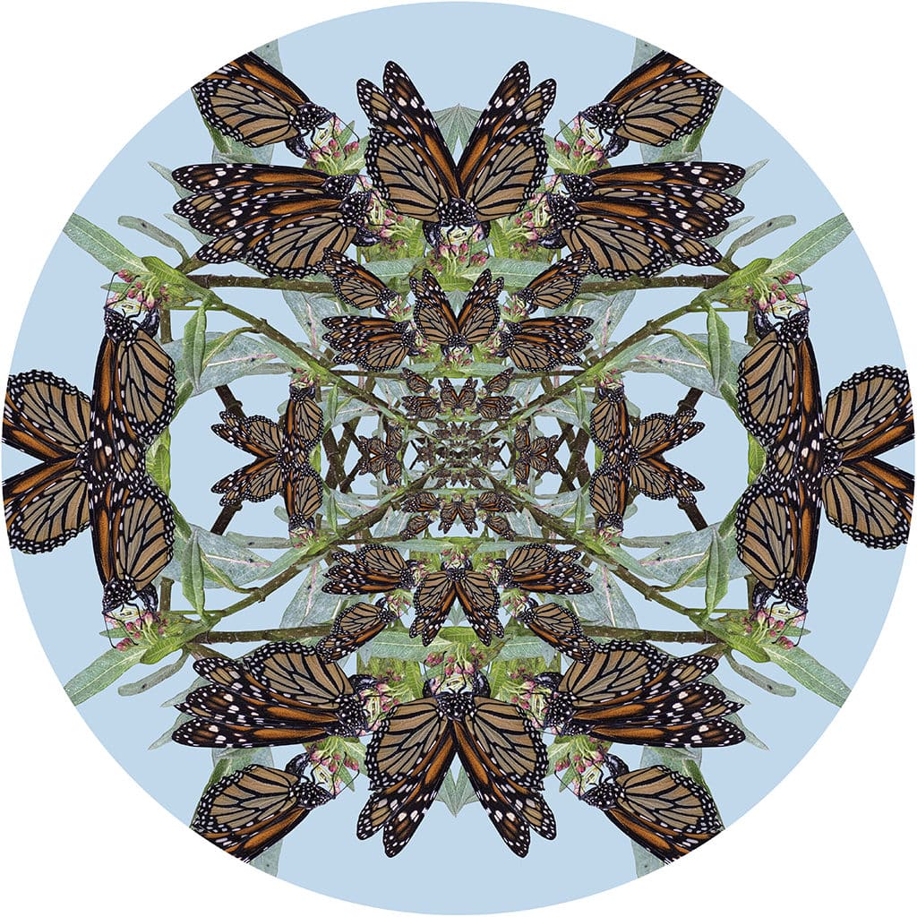 Metatron Monarch Medallion by Muffin Bernstein 