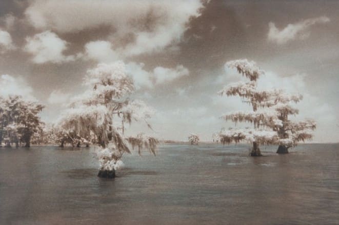 Louisiana Dreamscape by Sandra Russell Clark 