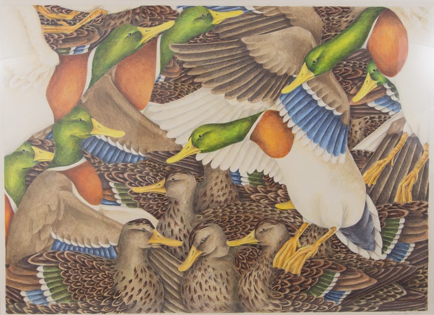 Flock #173 / Mallards by Mary Lee Eggart 