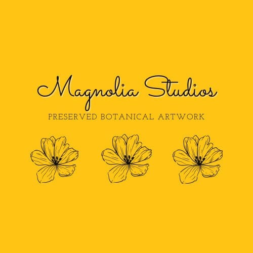 Magnolia Studios of Louisiana by Lynn Jenkins 