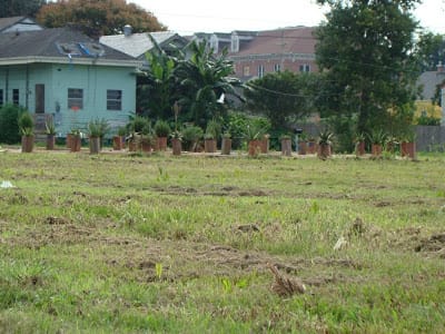 Labyrinth / Memory Garden by Christopher Scott Brumfield, Image 1.