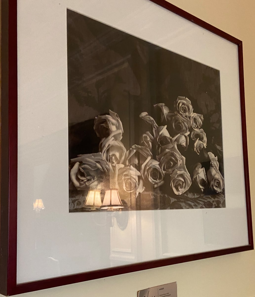 Roses by Victoria Ryan 