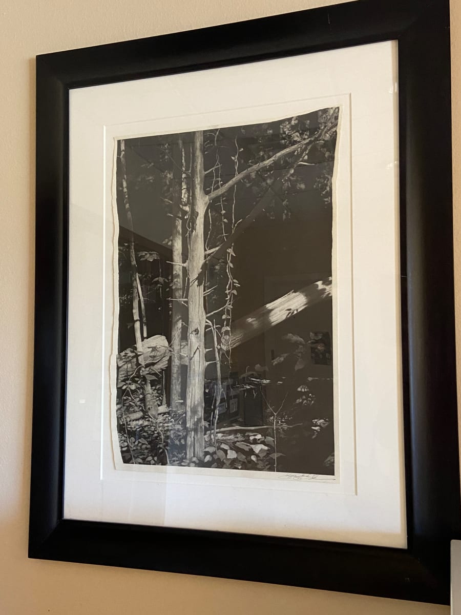 Tree by Gregory B. Saunders, Image 2.