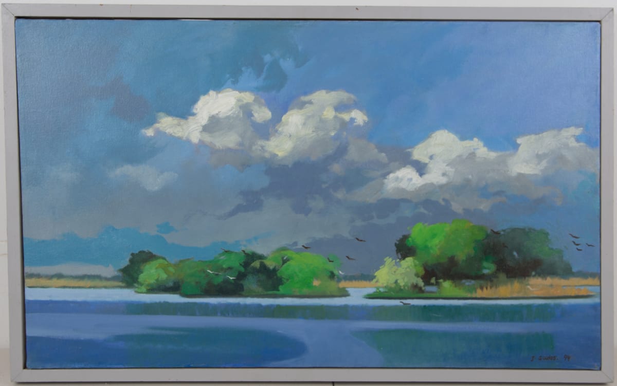 Marsh Island by Jacques Soulas 