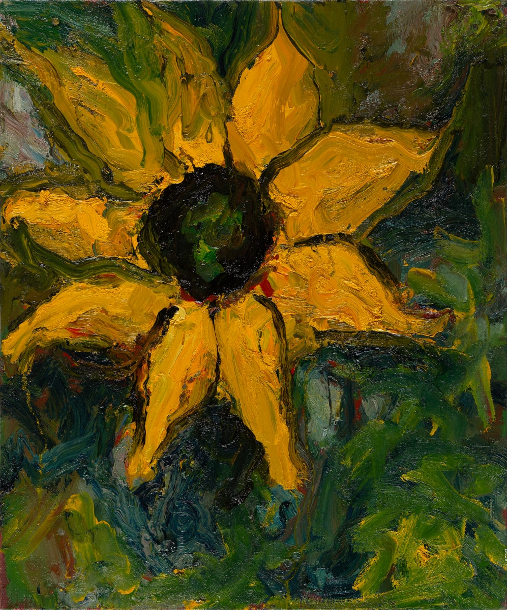Sunflower by Jonathan Herbert 