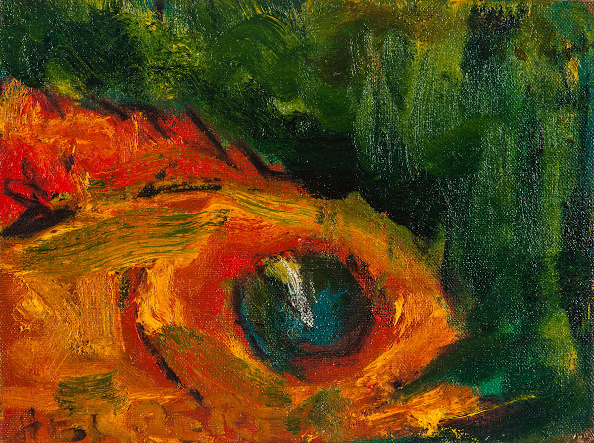 Fishy by Jonathan Herbert, Image 1.