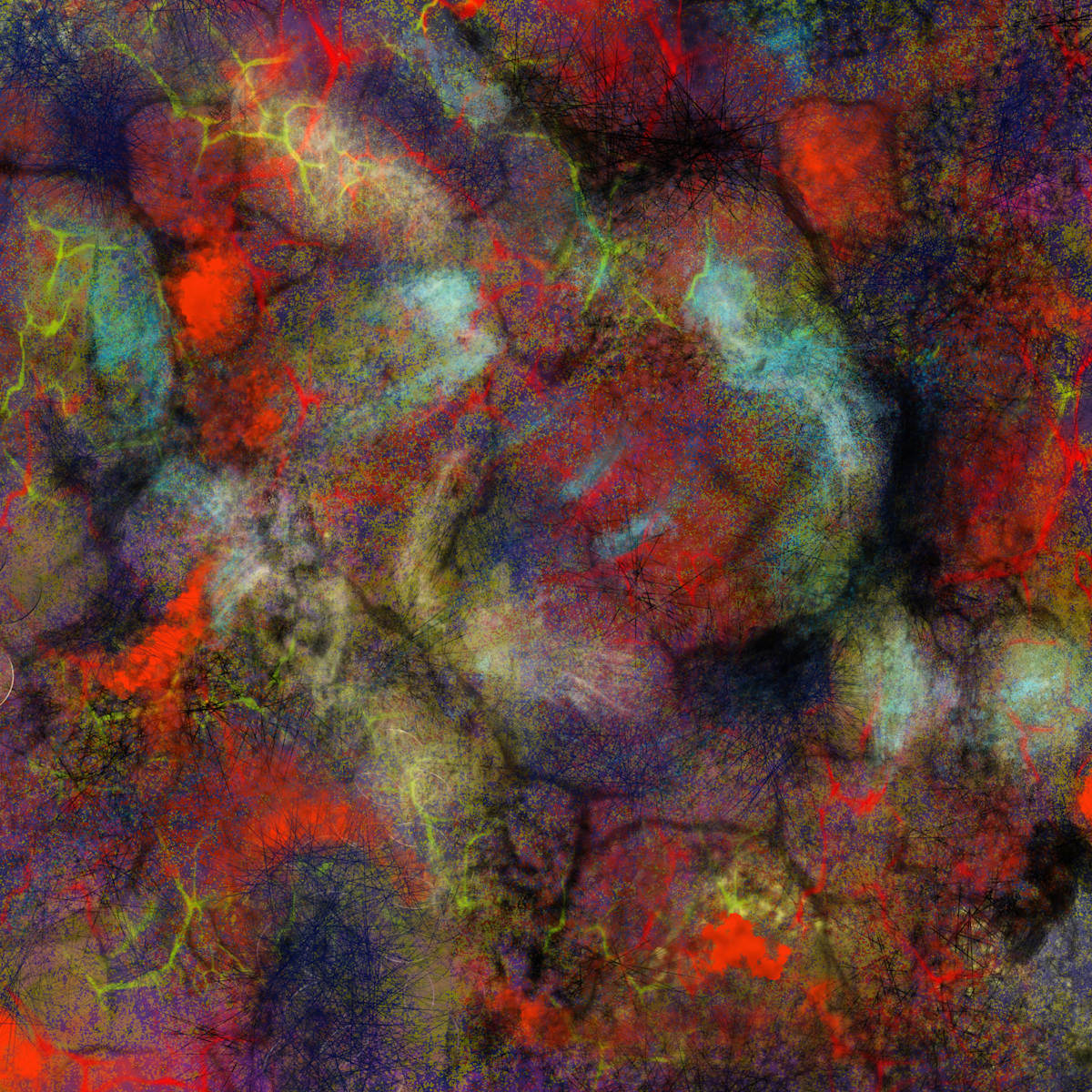 Scroll by Jonathan Herbert, Image 1.