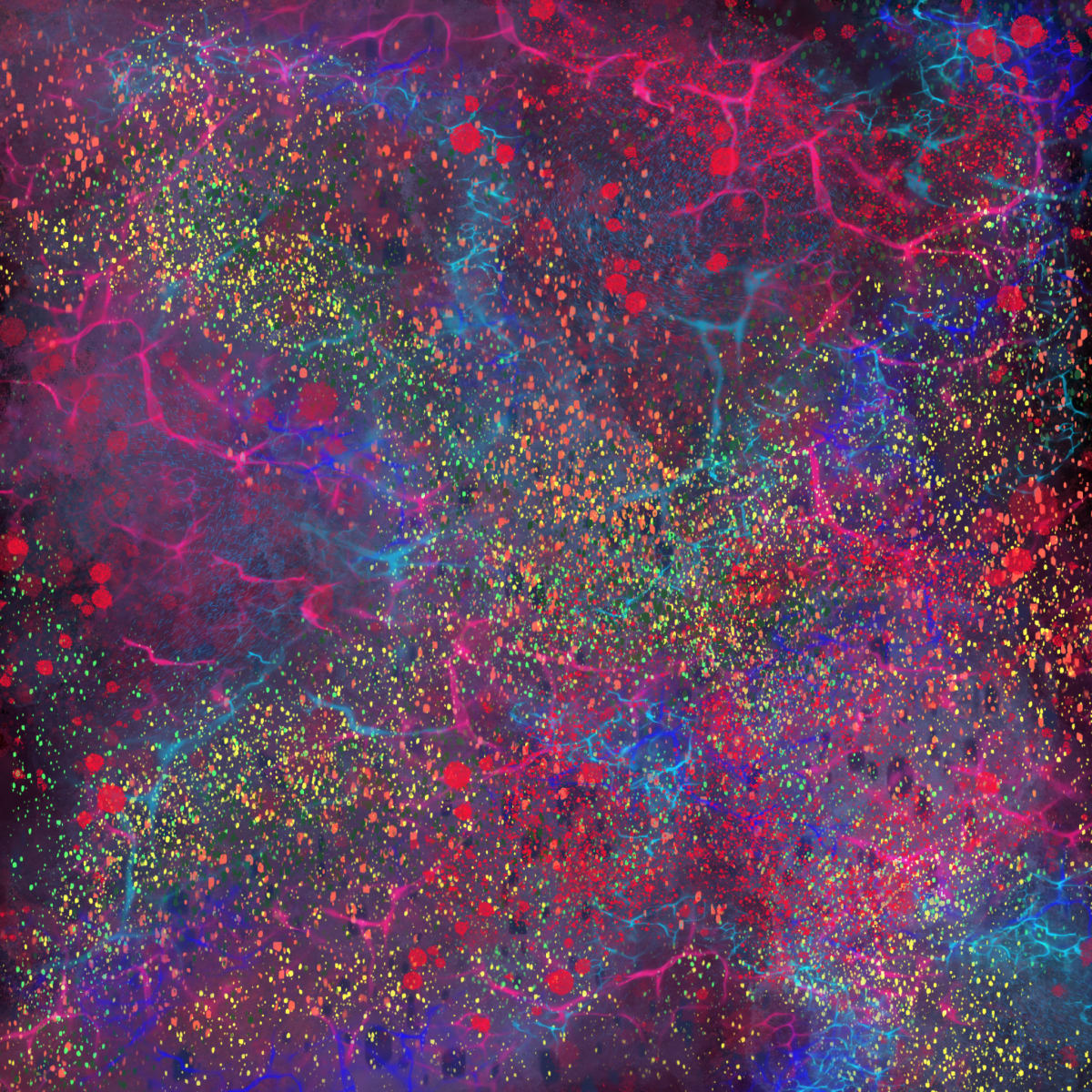 Bluster by Jonathan Herbert 