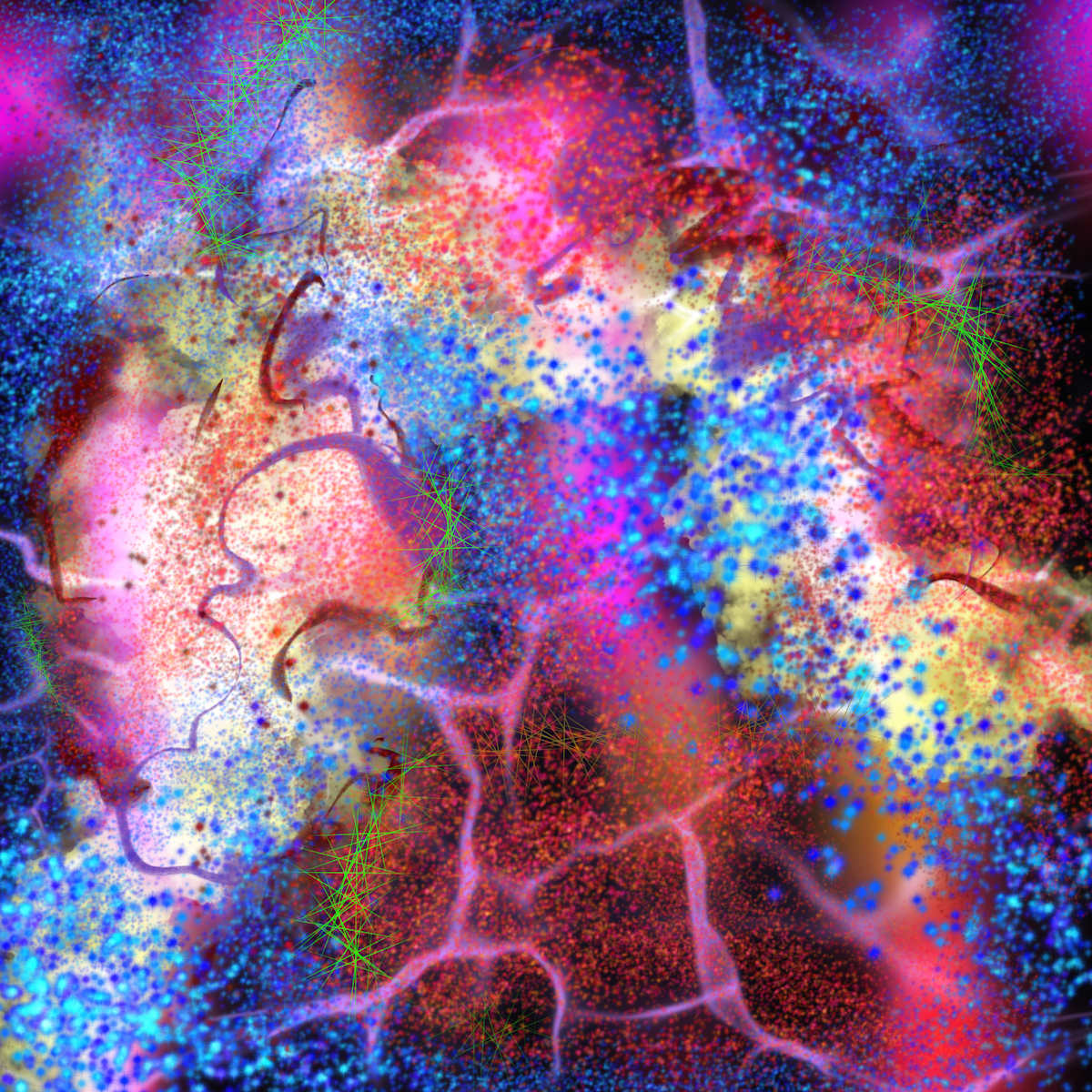 Plasma Web by Jonathan Herbert, Image 5.
