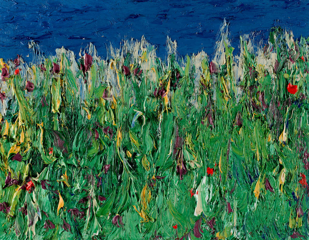 Mediterranean Wetland by Jonathan Herbert, Image 1.