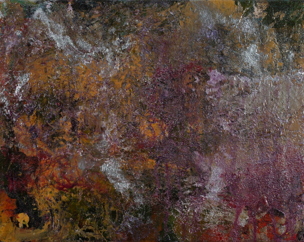 Stars in my Pocket by Jonathan Herbert 