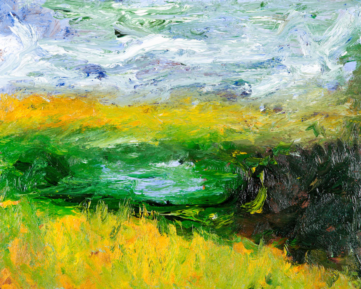 Camargue No.4 by Jonathan Herbert 