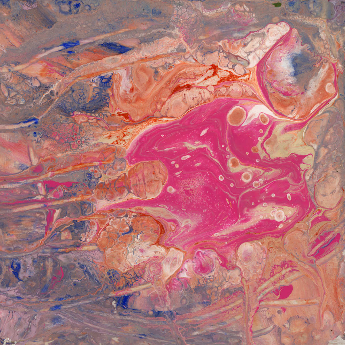 Consume by Phoebe Bradbury  Image: Look closely and you will see a consuming creature being consumed
