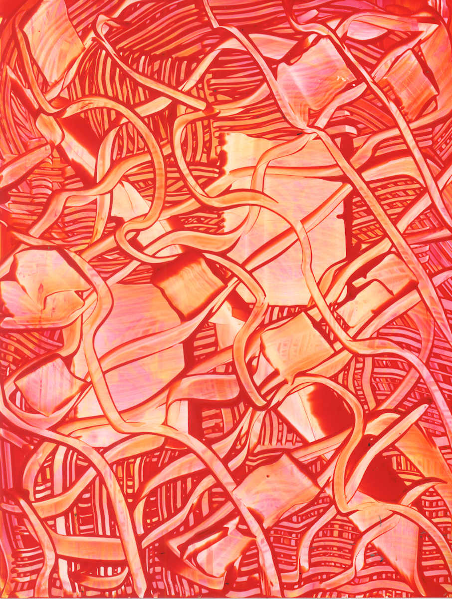 Orange Plan by Phoebe Bradbury 