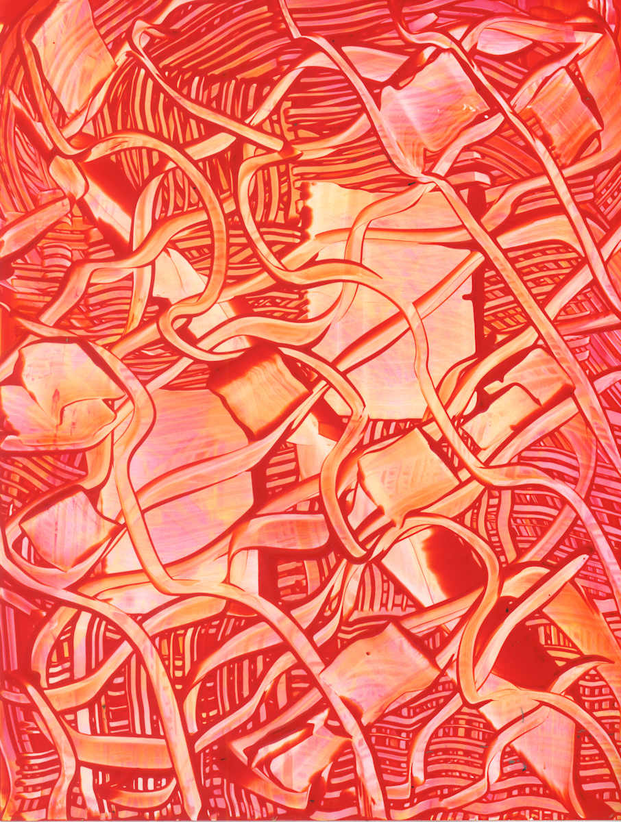 Orange Plan by Phoebe Bradbury, Image 10.