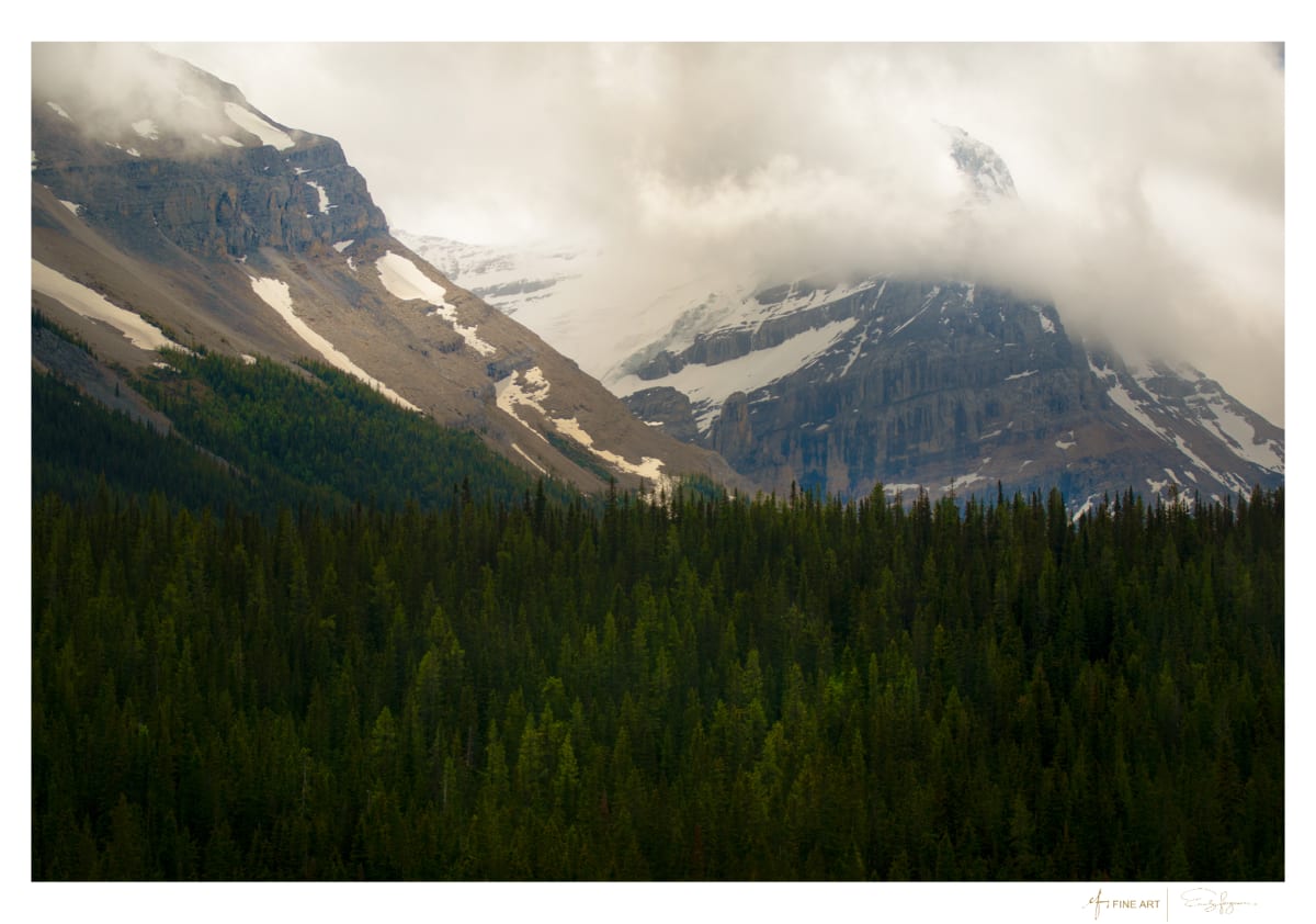 Midday Mist by Emily Ferguson Fine Art  Image: Banff, National Park Rocky Mountain
