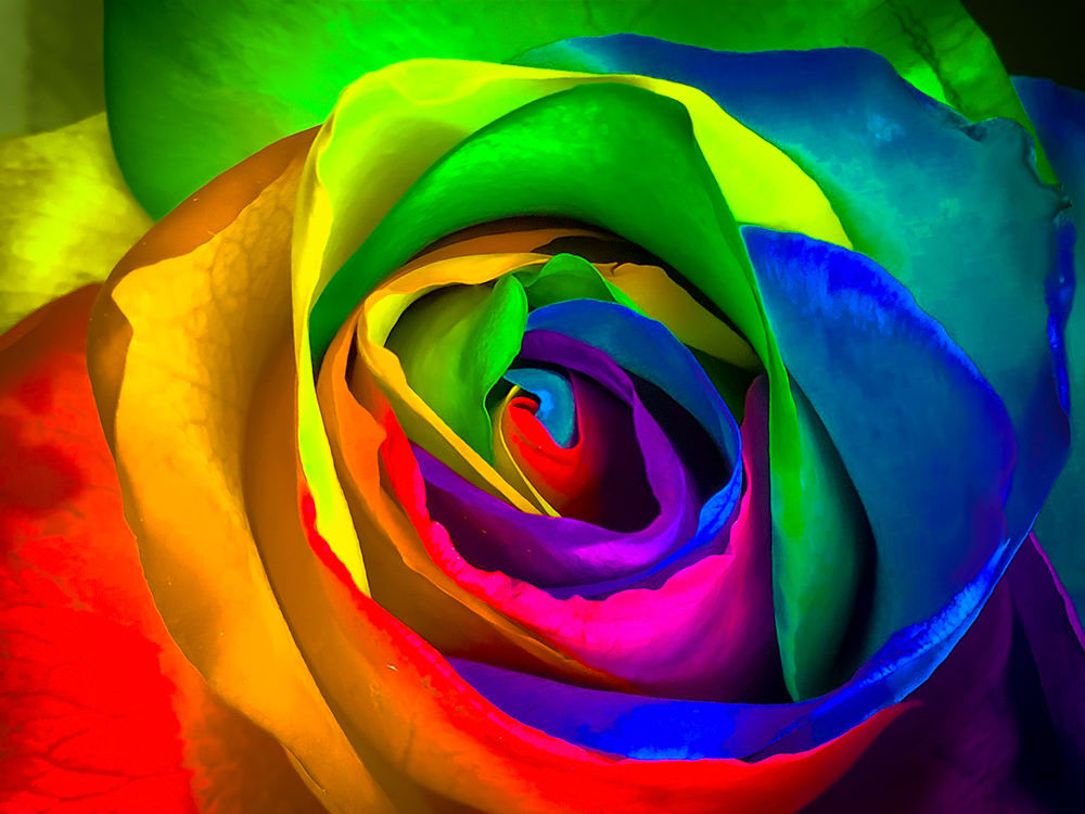 Kaleidoscope Rose Abstract II by Emily Ferguson Fine Art  Image: Wheel of Happiness