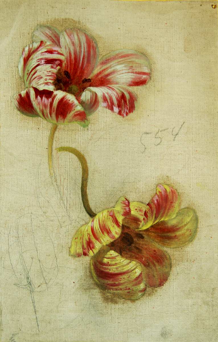 Flors by Josep Mirabent i Gatell, Image 1.