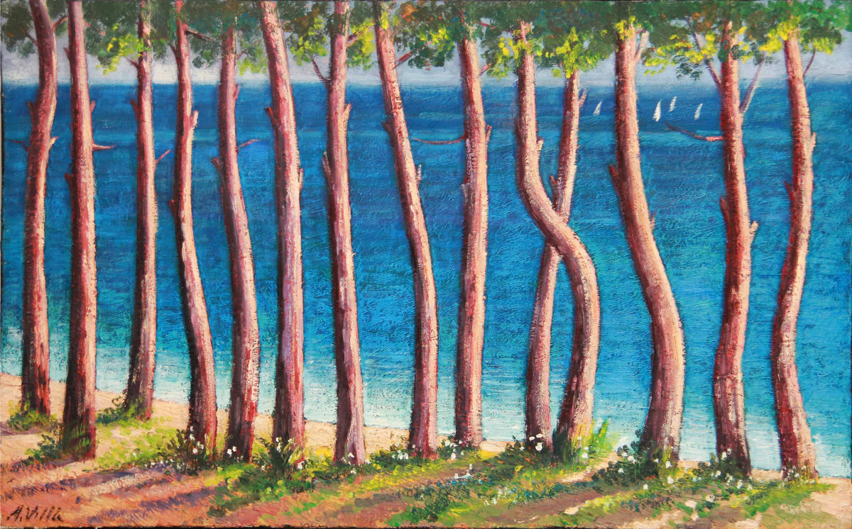 Costa brava by Desconegut 