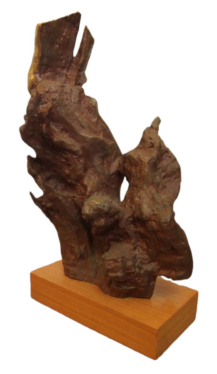 Coral by Alain Peron 