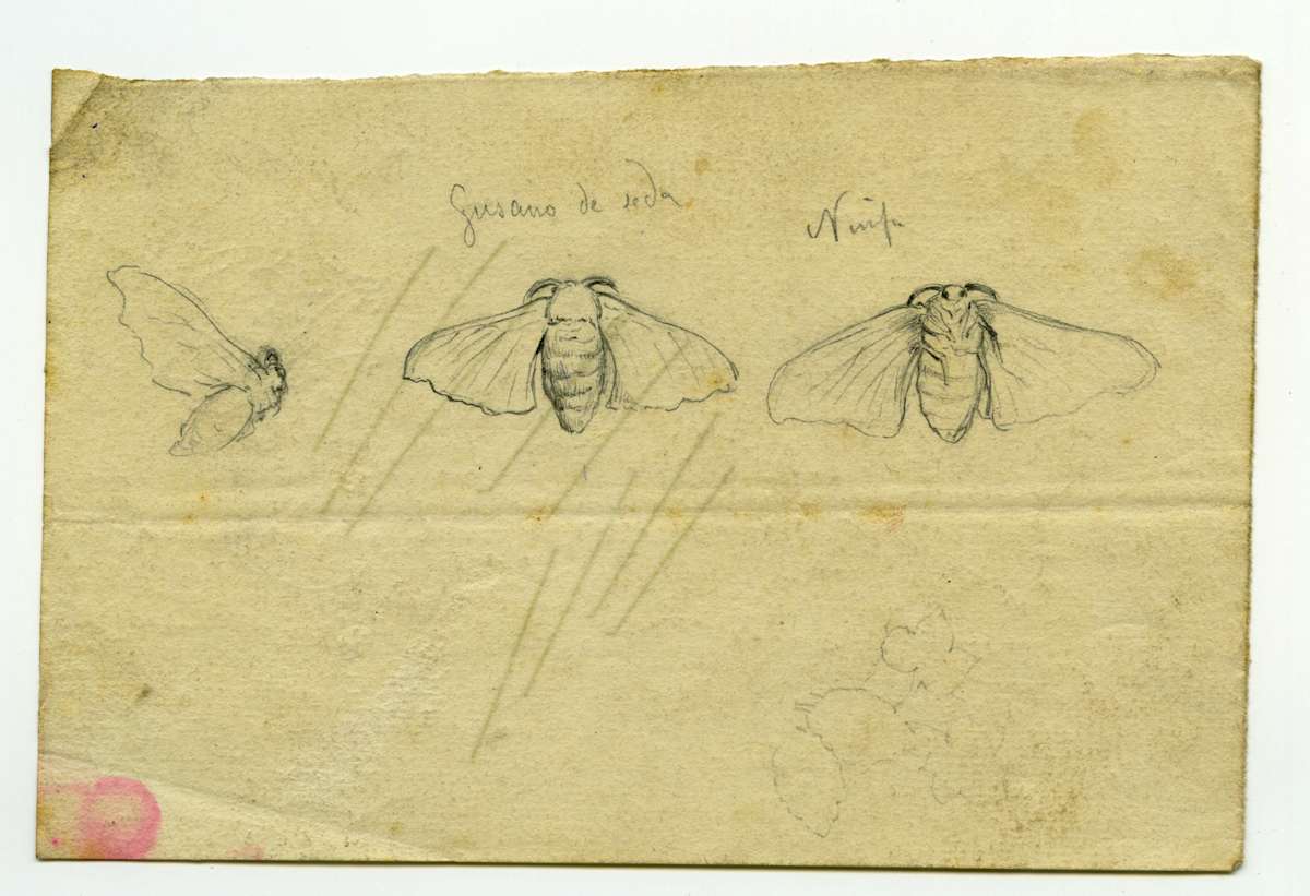 Dibuix 198 by Josep Mirabent i Gatell, Image 2.