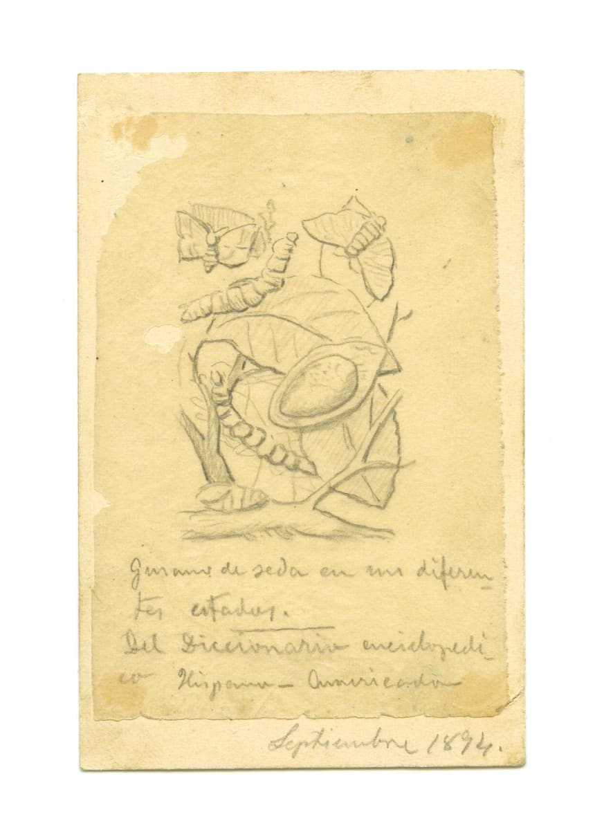 Dibuix 232 by Josep Mirabent i Gatell, Image 2.