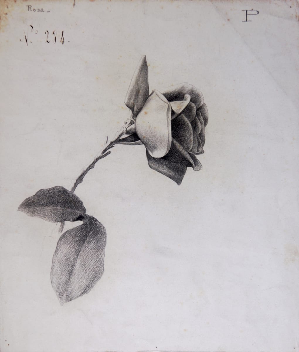 Sense títol by Josep Mirabent i Gatell, Image 1.