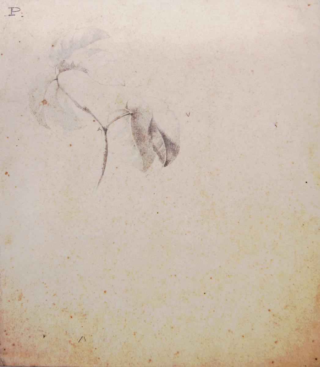 Sense títol by Josep Mirabent i Gatell, Image 2.