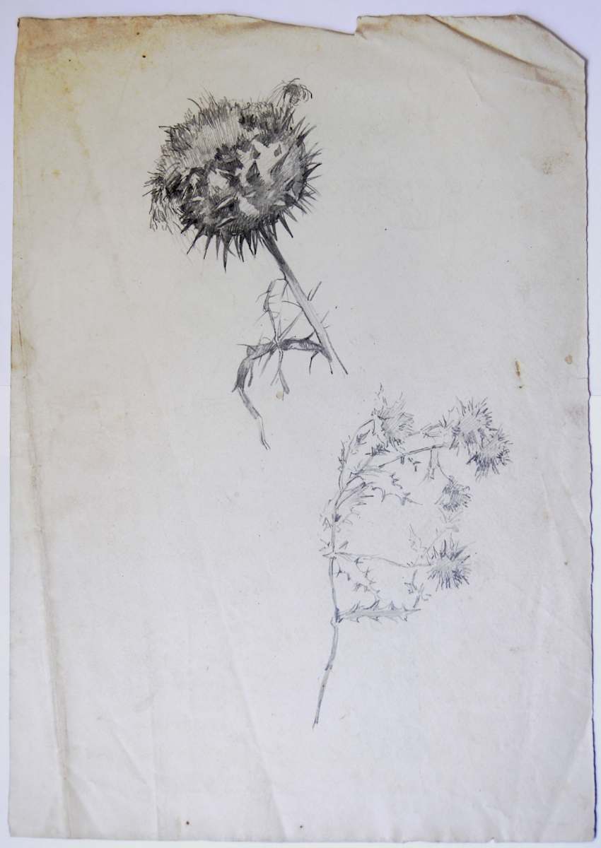 Sense títol by Josep Mirabent i Gatell, Image 11.