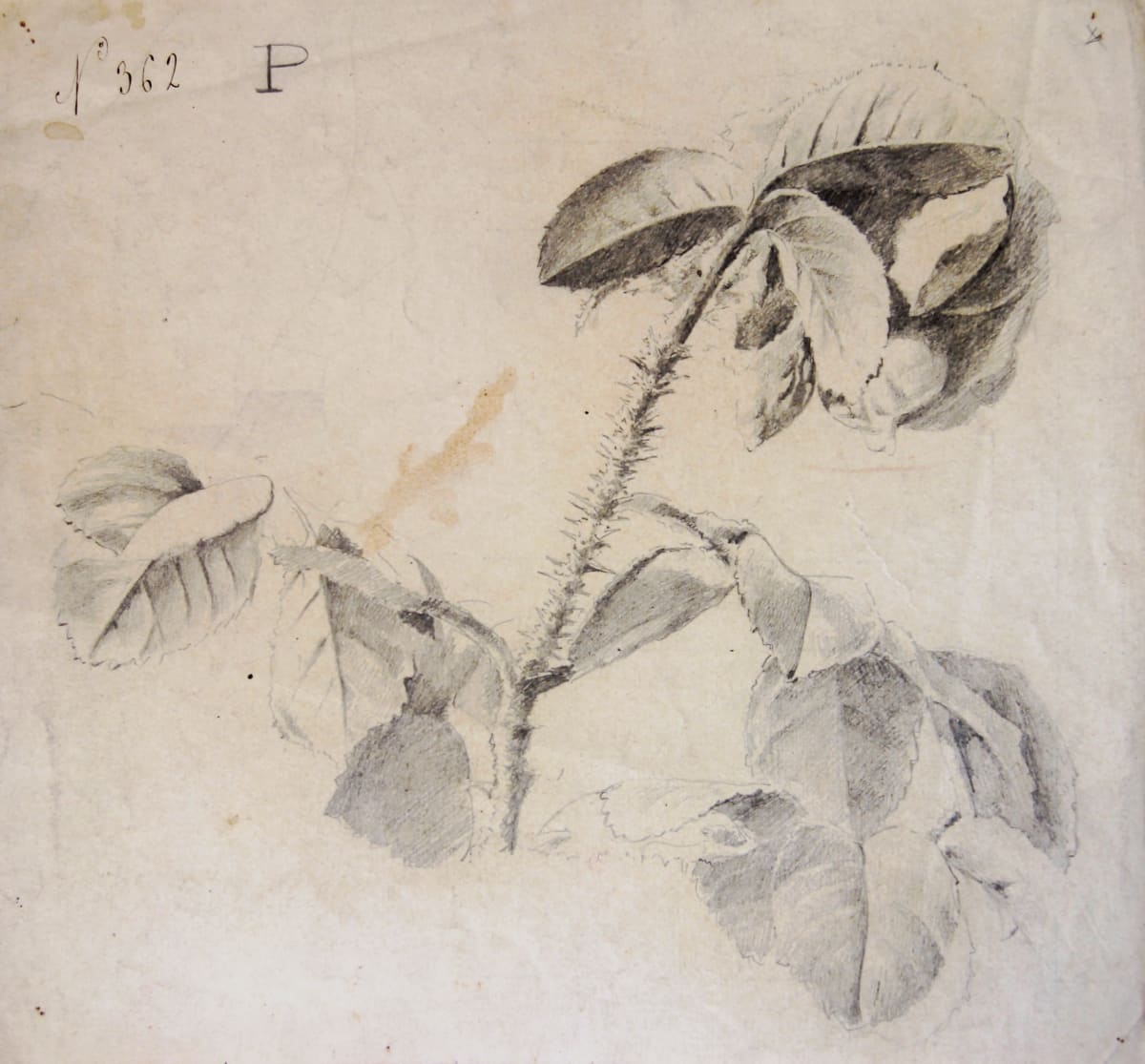 Sense títol by Josep Mirabent i Gatell 