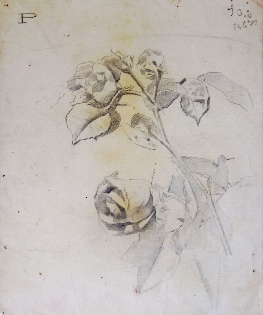 Sense títol by Josep Mirabent i Gatell, Image 8.