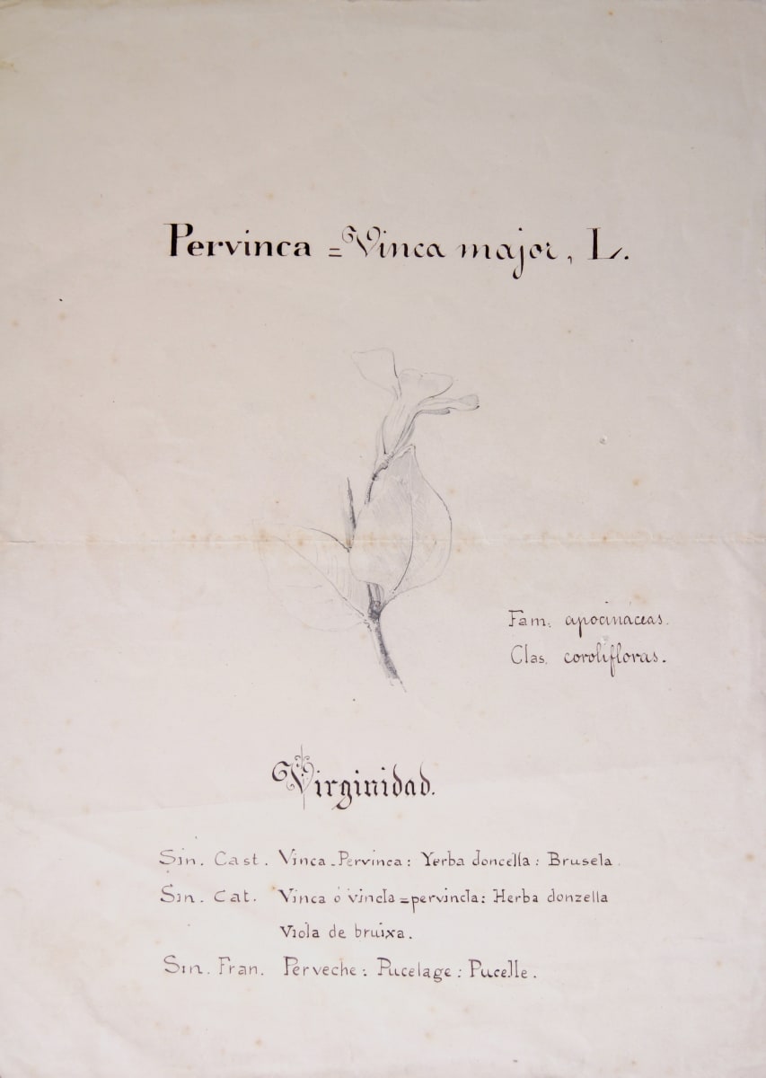 Sense títol by Josep Mirabent i Gatell, Image 15.