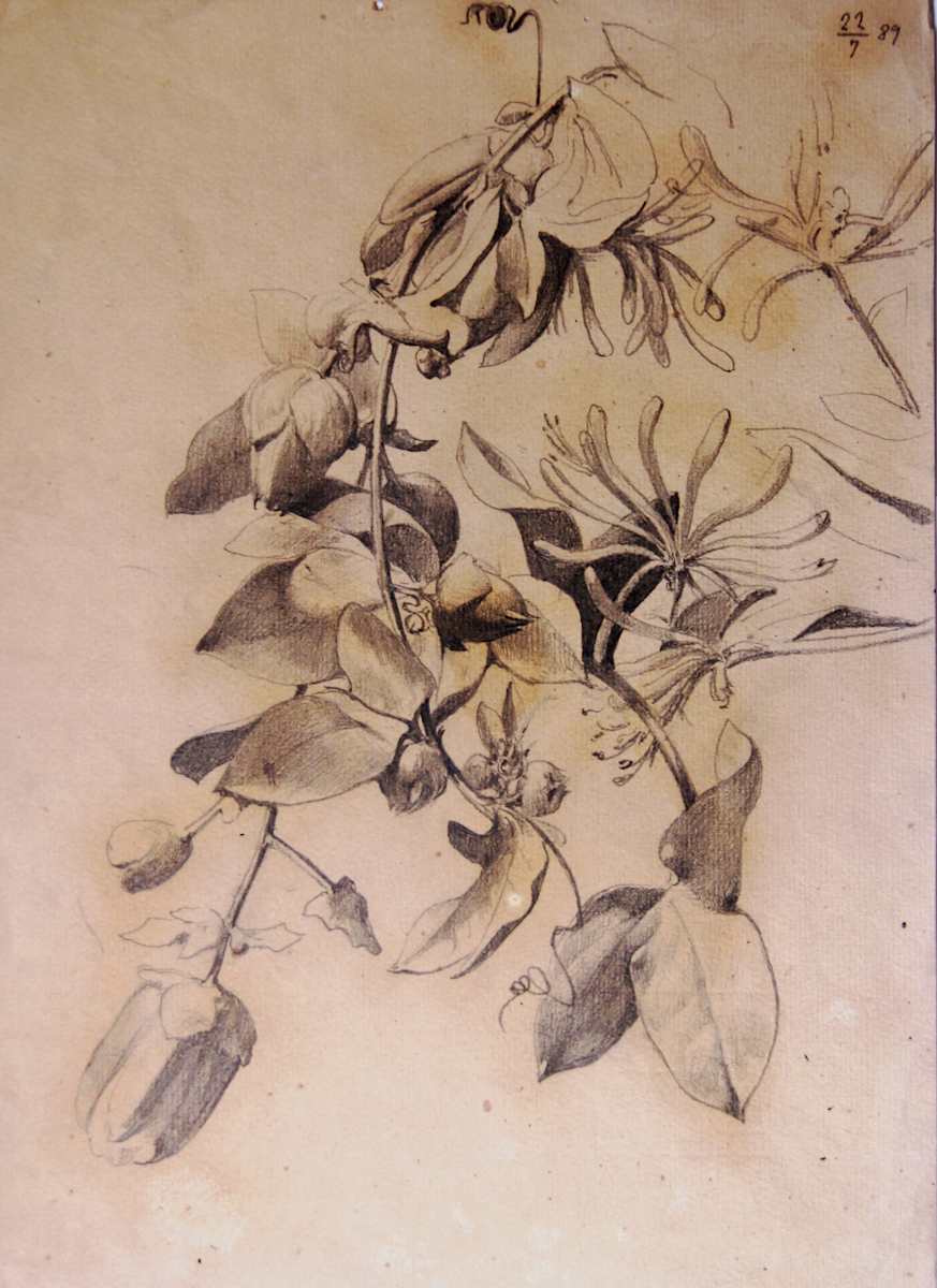 Sense títol by Josep Mirabent i Gatell, Image 19.