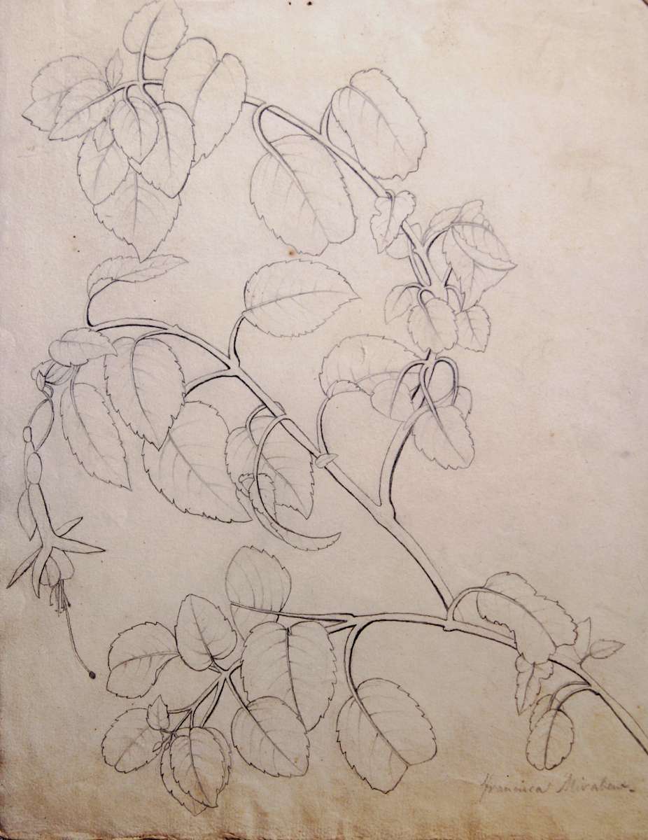 Sense títol by Josep Mirabent i Gatell, Image 18.