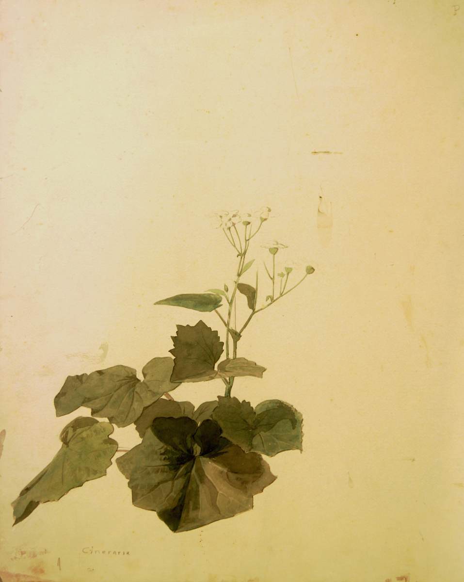 Sense títol by Josep Mirabent i Gatell, Image 2.