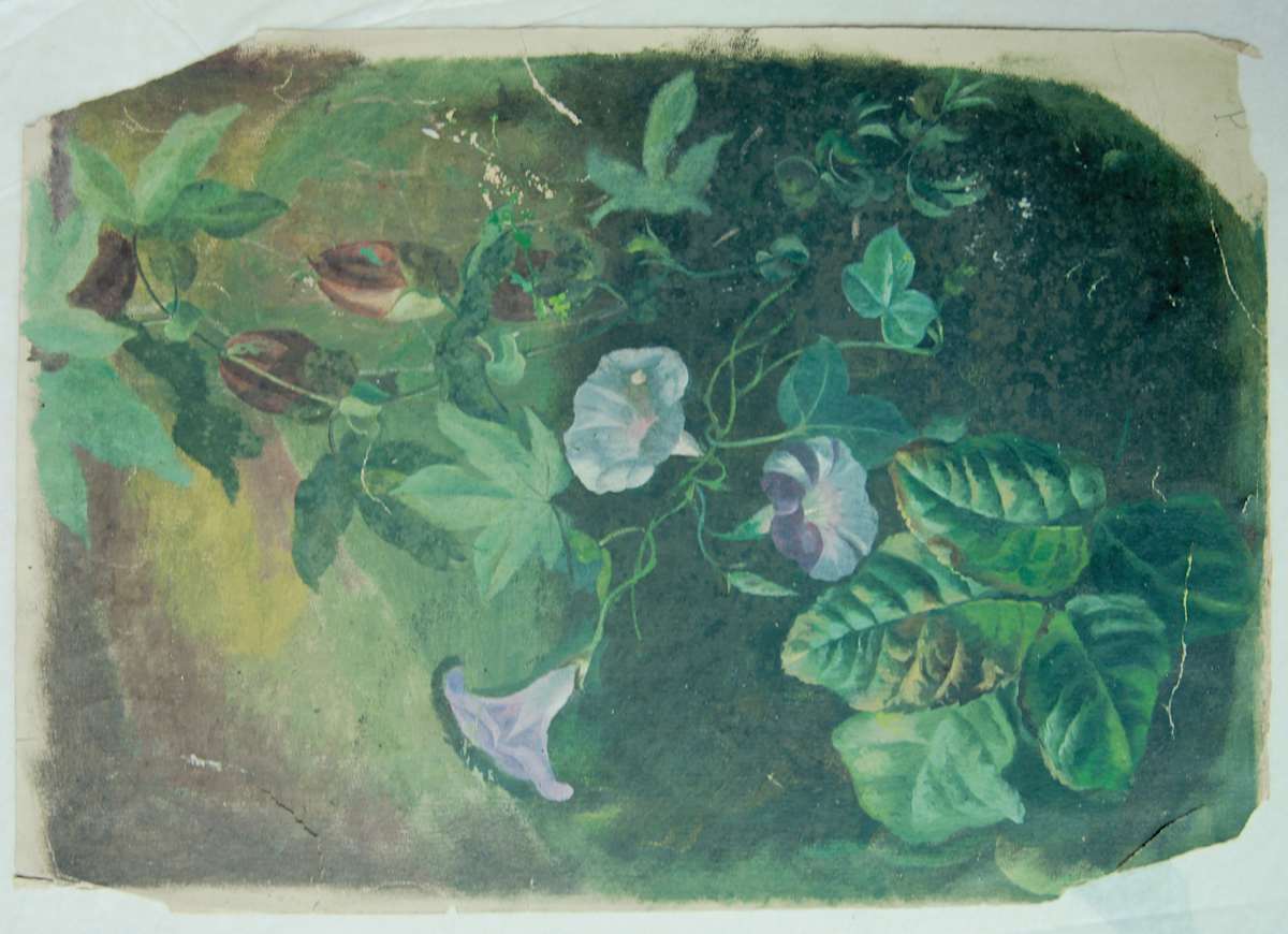 Sense títol by Josep Mirabent i Gatell, Image 10.