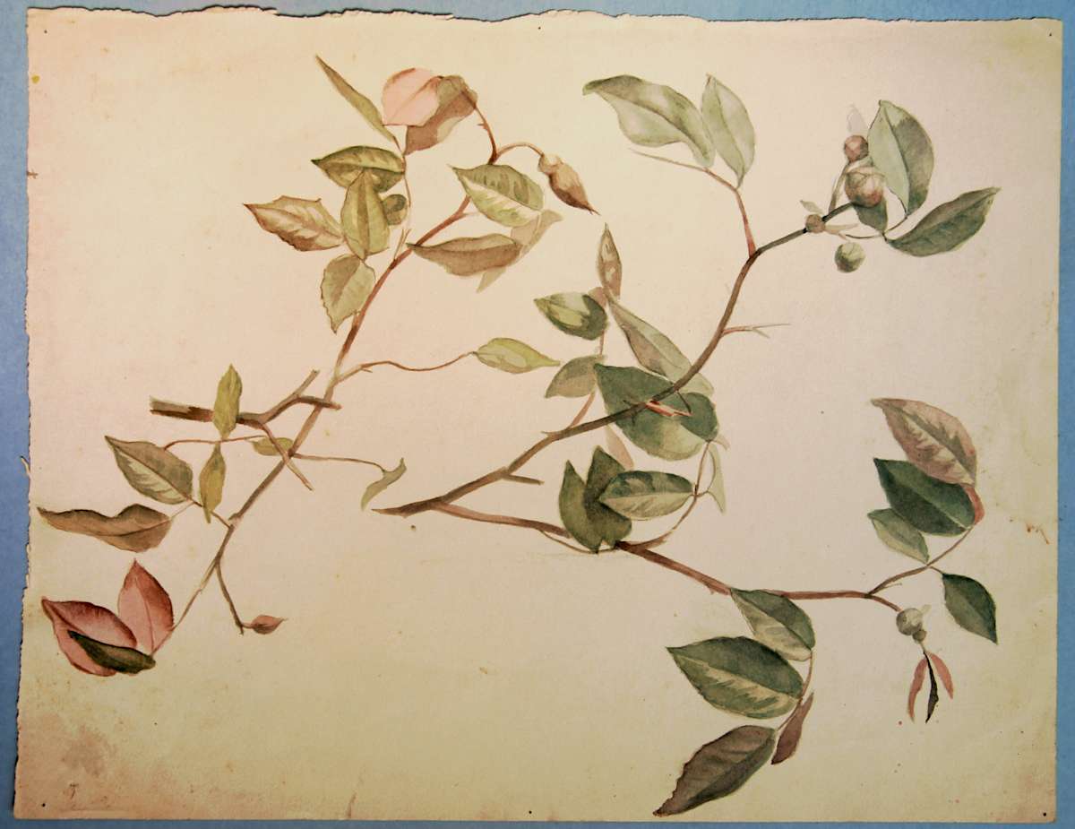 Sense títol by Josep Mirabent i Gatell, Image 3.