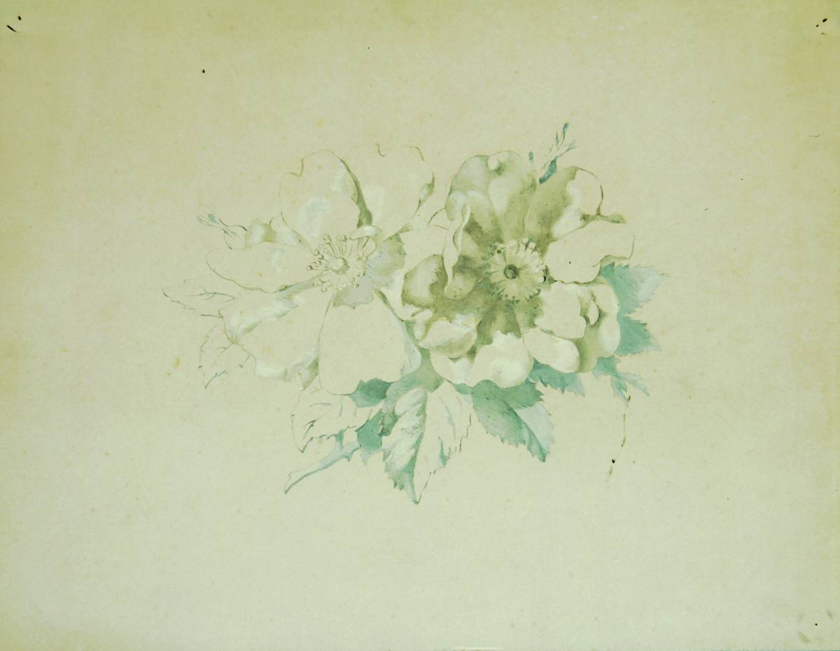 Sense títol by Josep Mirabent i Gatell, Image 5.