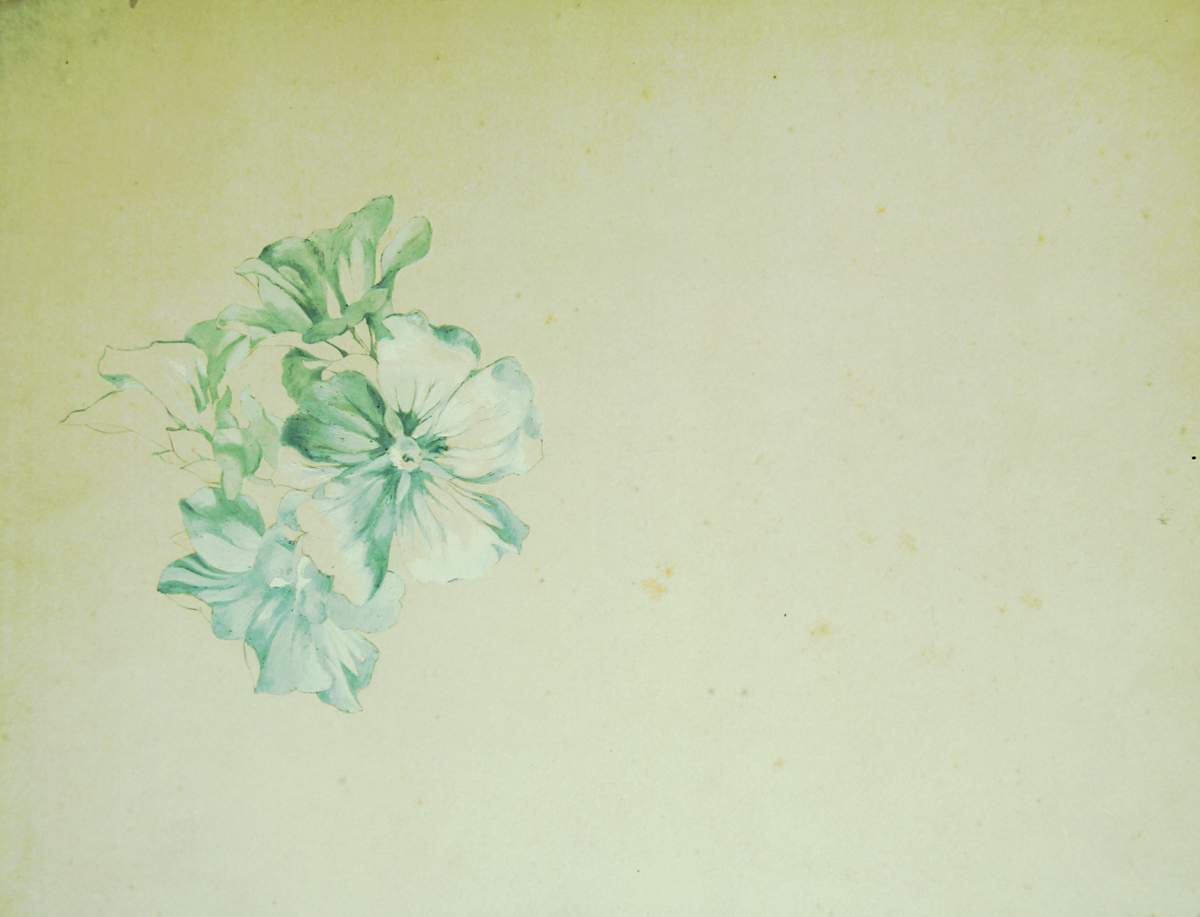 Sense títol by Josep Mirabent i Gatell, Image 7.