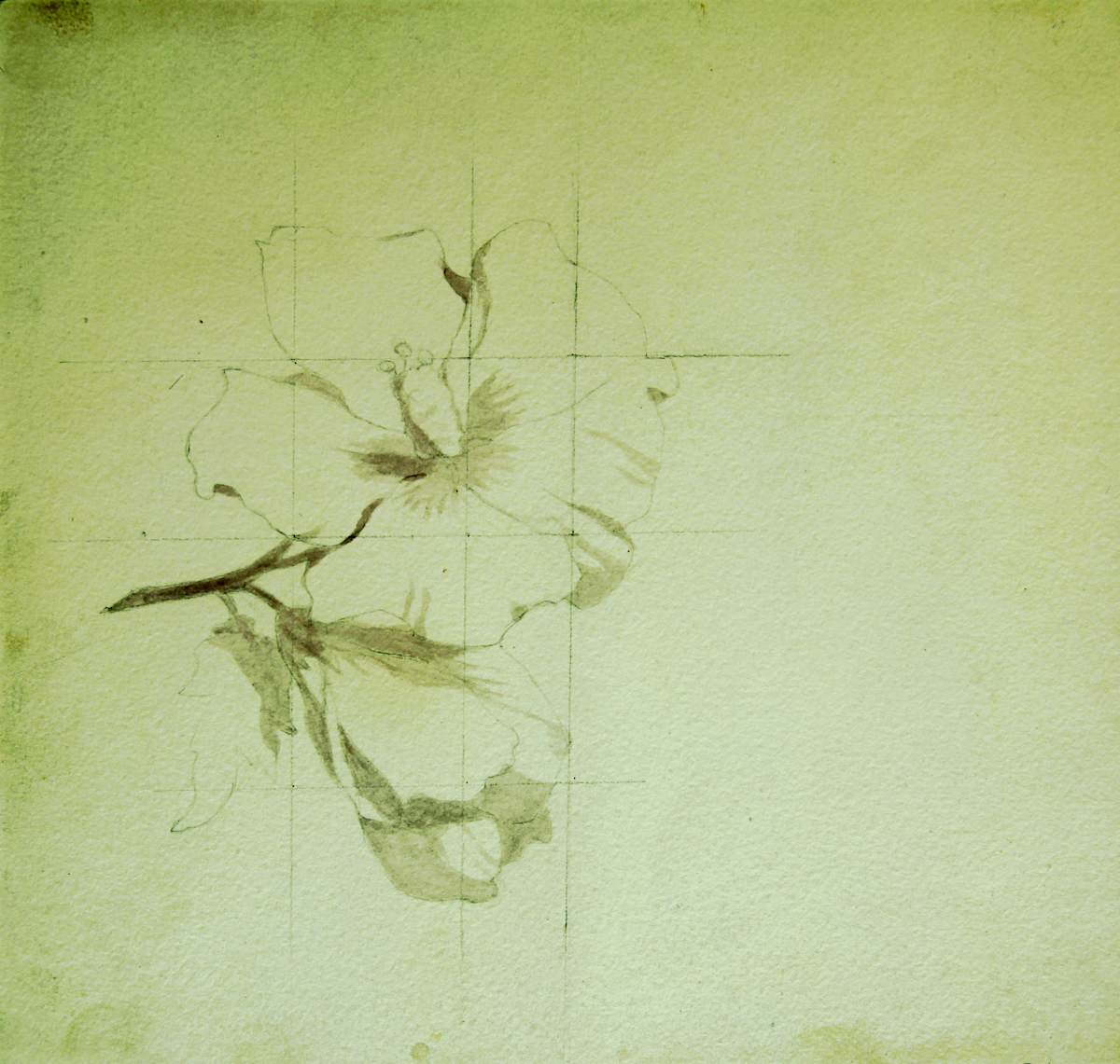 Sense títol by Josep Mirabent i Gatell, Image 8.
