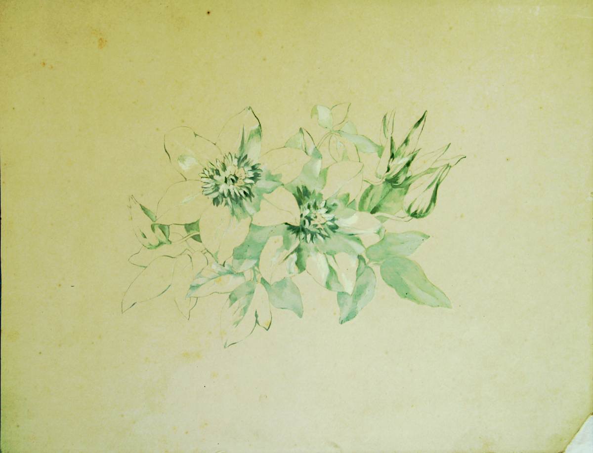 Sense títol by Josep Mirabent i Gatell, Image 11.