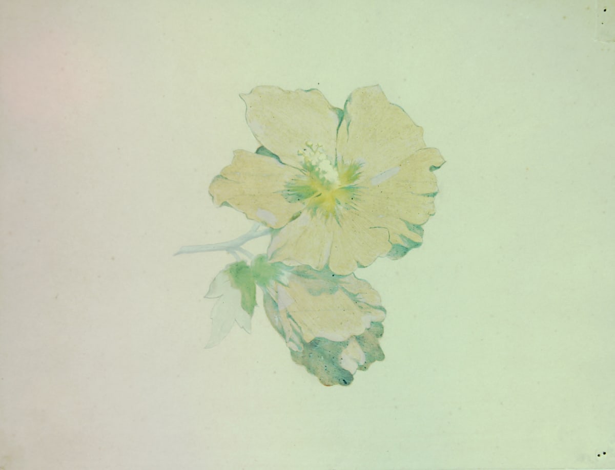 Sense títol by Josep Mirabent i Gatell, Image 9.