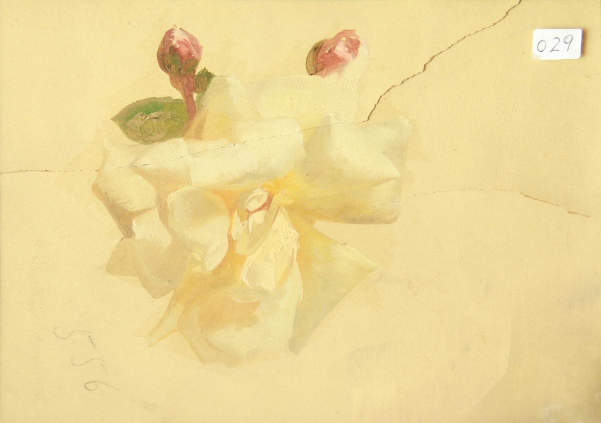 La flor groga by Josep Mirabent i Gatell, Image 1.