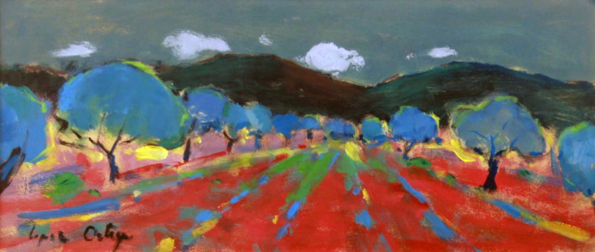 Amapolas by José López Ortega 