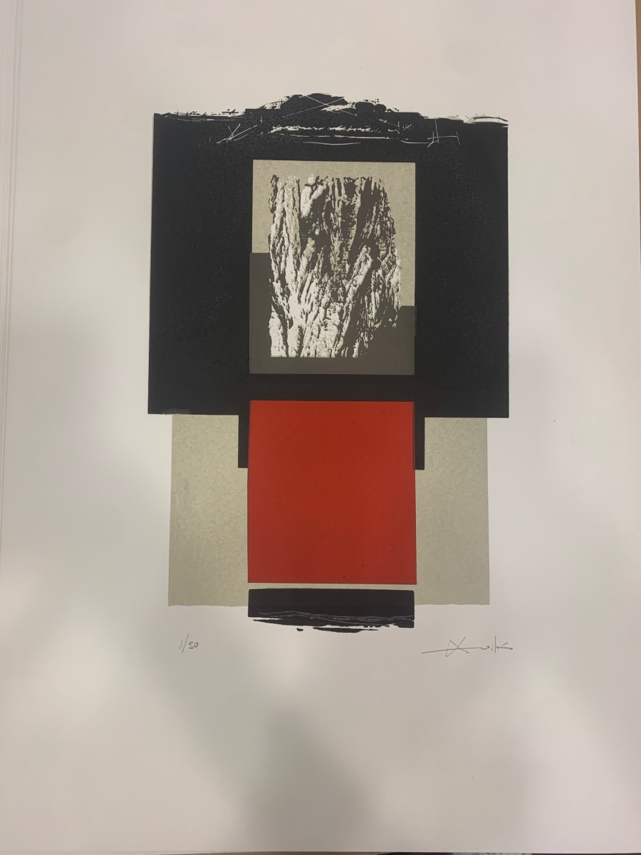 Arrels 6/30 by Josep Maria Avilés Carceller 