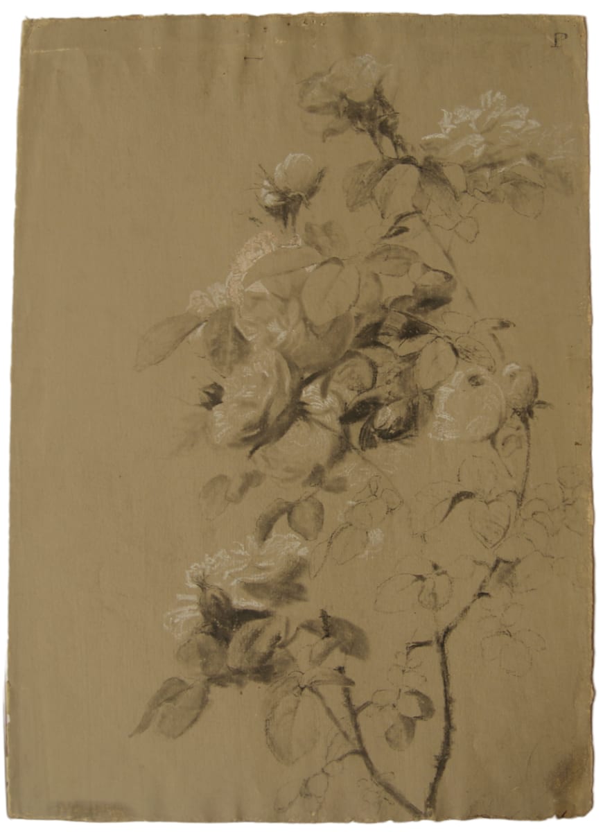 Dibuix 240 by Josep Mirabent i Gatell, Image 1.