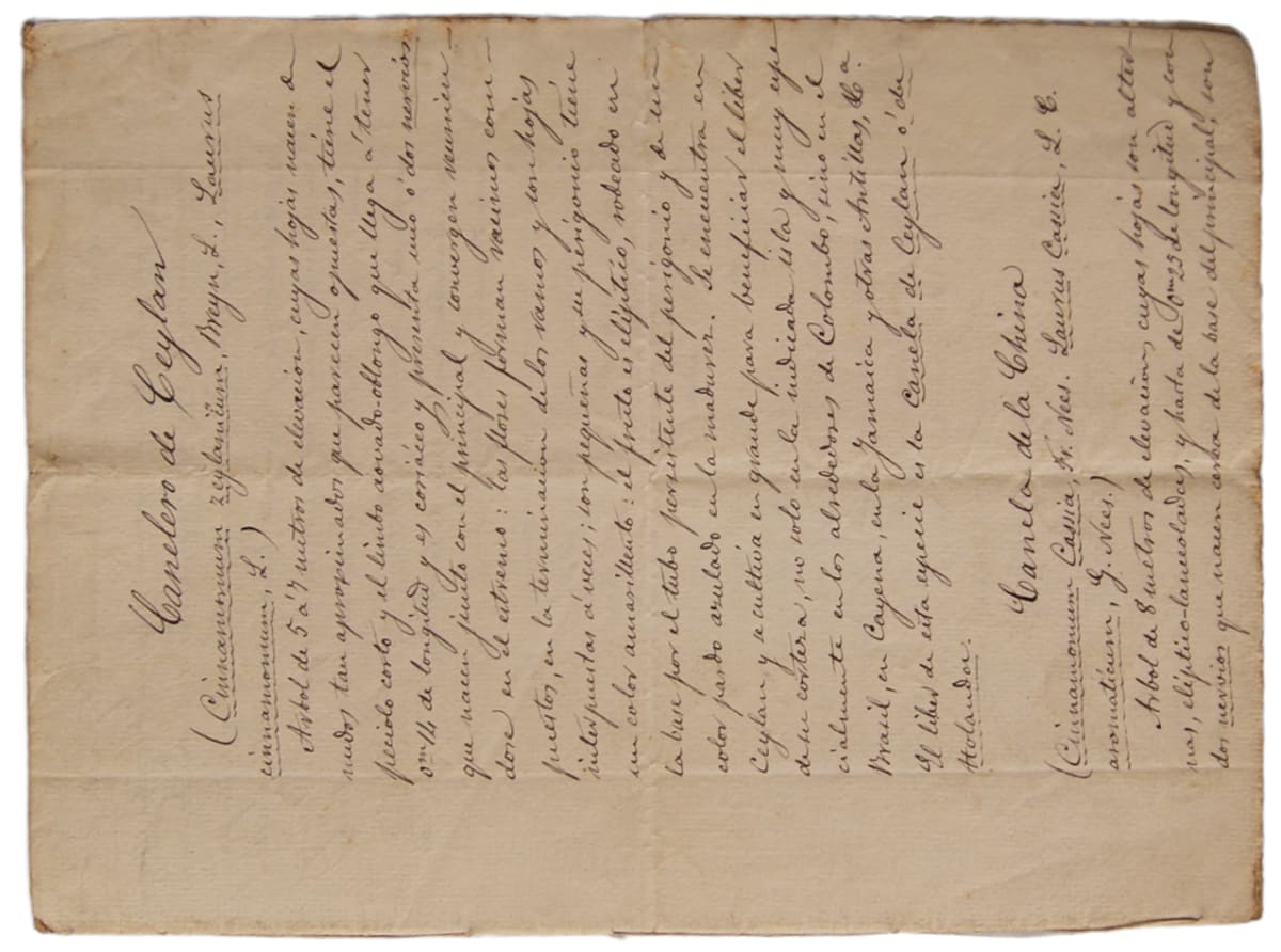 Document gràfic 2 by Josep Mirabent i Gatell, Image 1.