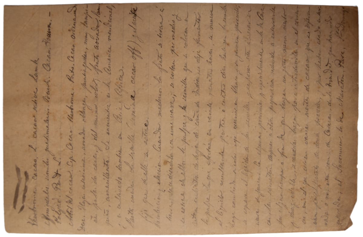 Document gràfic 5 by Josep Mirabent i Gatell, Image 1.