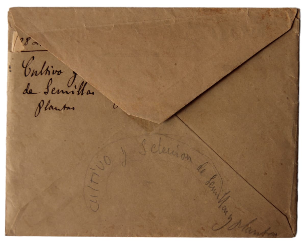 Dibuix 262 by Josep Mirabent i Gatell 